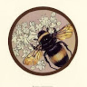 Meet your Posher, Jacki